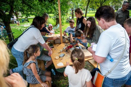 24. Piknik Leśny